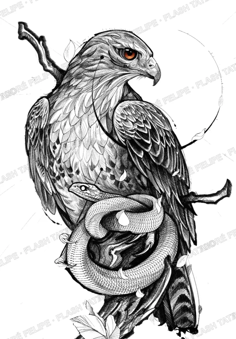 Desenho Gavião
