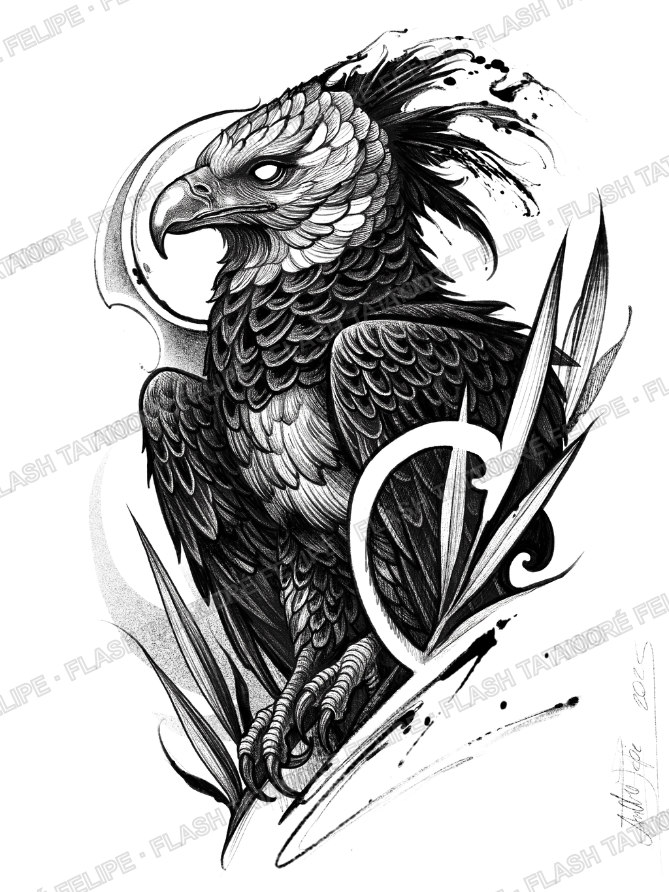Desenho Harpia